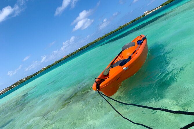 Clear kayak Grand Turk Island Kayak Tour of the mangroves - Mangrove Ecology You Can Actually See: Birds, Juvenile Fish, and Barracudas
