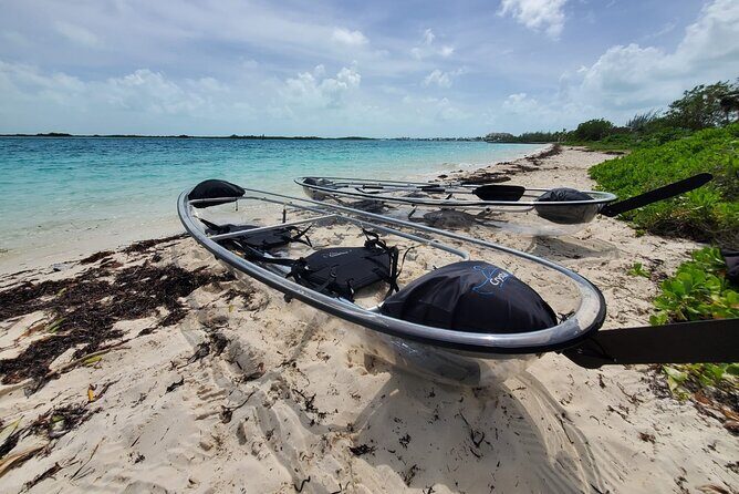 Clear Kayak Mangrove Eco Tour - Key things to know before you go