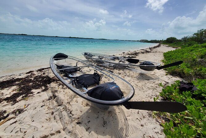Clear Kayak Mangrove Eco Tour - Clear kayak + mangroves: why this tour feels different