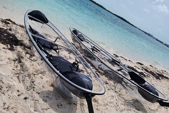 Clear Kayak Mangrove Eco Tour - The 2-hour format: short enough to stay fun