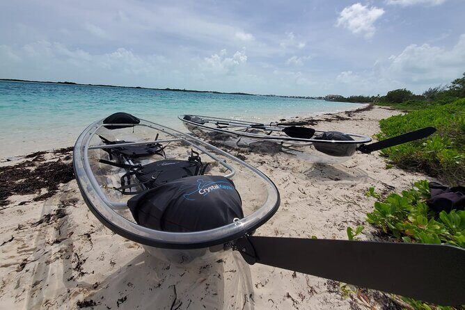 Clear Kayak Mangrove Eco Tour - Pickup, timing, and how to avoid the main headaches