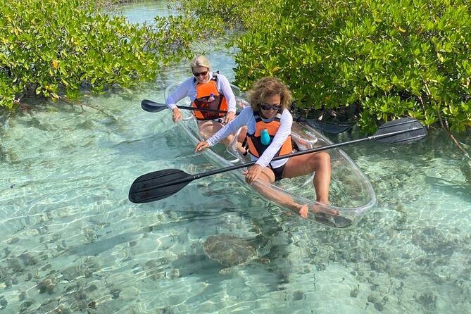 Clear Kayak Tour in Turks & Caicos Islands - Key things to know before you go
