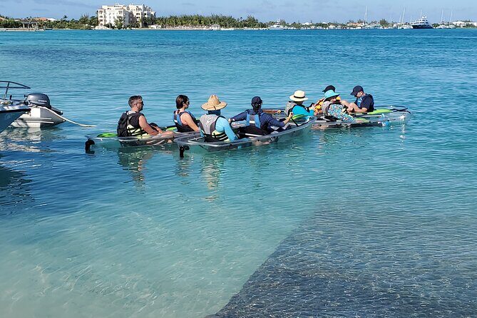 Clear Kayak Tour in Turks & Caicos Islands - The wildlife moments that make people talk