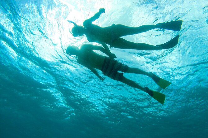 Deluxe Half-Day Snorkel Sail on Lady Grace Luxury Catamaran - Island Beach Time: How the Trip Balances Reef and Relaxation