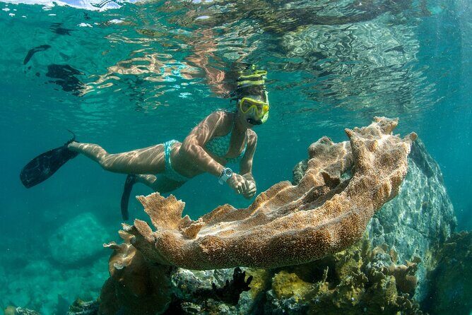 Deluxe Half-Day Snorkel Sail on Lady Grace Luxury Catamaran - Price and Value: Is $189 Worth It for a 4.5-Hour Reef Sail?