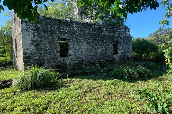 Discovery Tour and Treasure Hunt ( North and Middle Caicos) - Cottage Pond Blue-Hole Moment on North Caicos