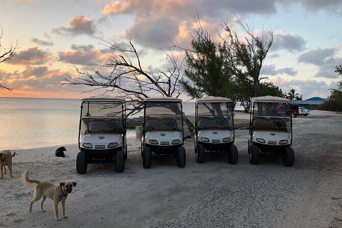 Drive GDT - Golf Cart Rentals - Fuel rules: the same-to-same gas policy and the $10 pay option