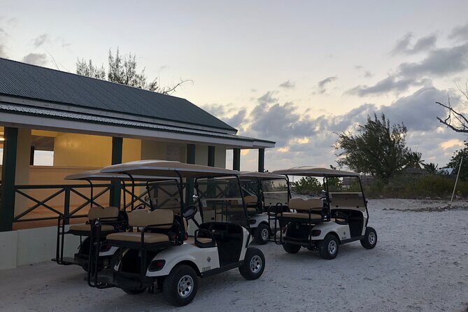 Drive GDT - Golf Cart Rentals - What’s included (and why it matters on a cruise day)