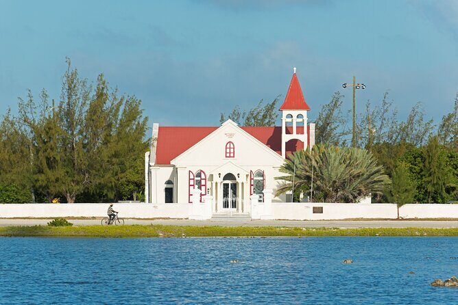 Exclusive Grand Turk Island Tour - Free-Roaming Island Animals: Watching Life, Not a Show
