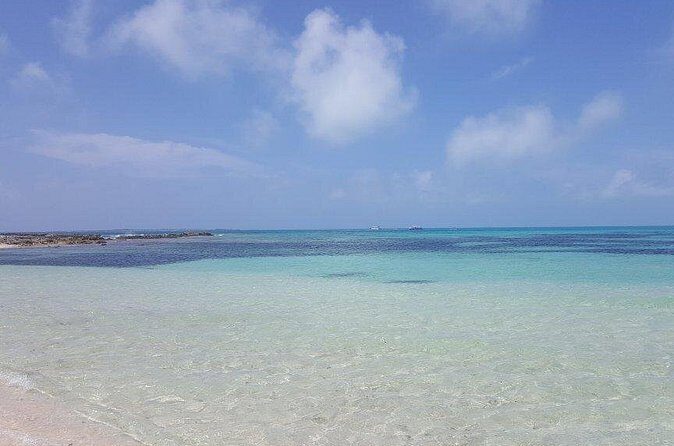 Exclusive Supreme Snorkeling Tour - Price and Value: Is $149 Worth It?