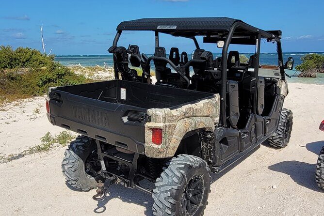 Family Adventure Buggy - Who this UTV outing fits best (and who should think twice)