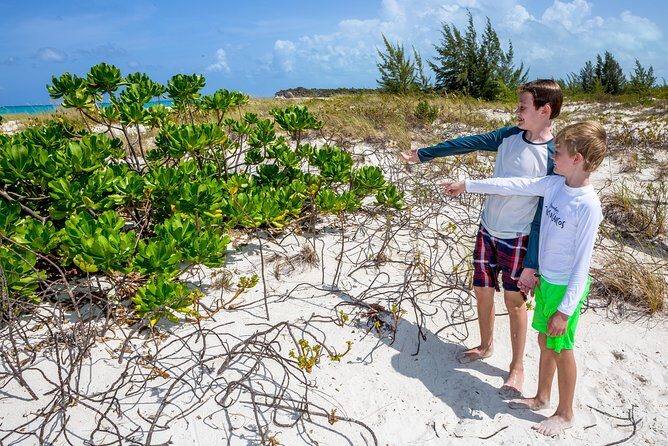 Family Catamaran & Snorkeling Cruise Turks & Caicos - Price and value: what $150 buys for 3 hours