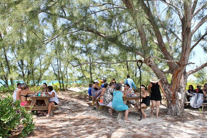 Full Day Beach BBQ Lunch & Snorkeling Excursion in Grace Bay - Key things I’d focus on before you go