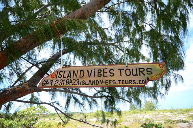 Full Day Beach BBQ Lunch & Snorkeling Excursion in Grace Bay - From 9:00 AM pickup to getting settled on board