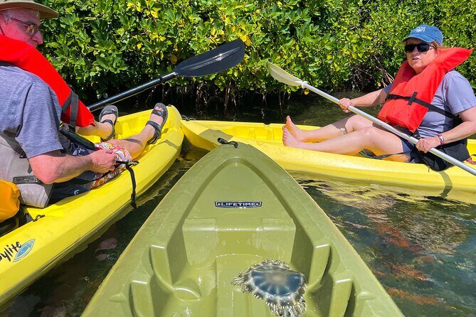 Full Day Clear Kayak Rental Grand Turk - The water route: clear-glide through creeks, channel access, and wildlife