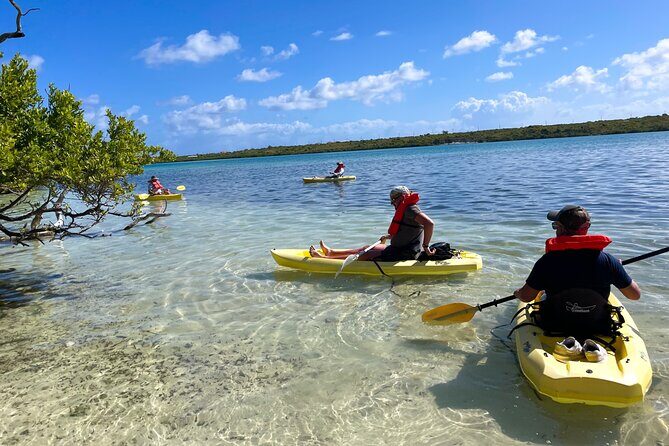 Full Day Clear Kayak Rental Grand Turk - How long you’re out: choosing 1 to 4 hours wisely
