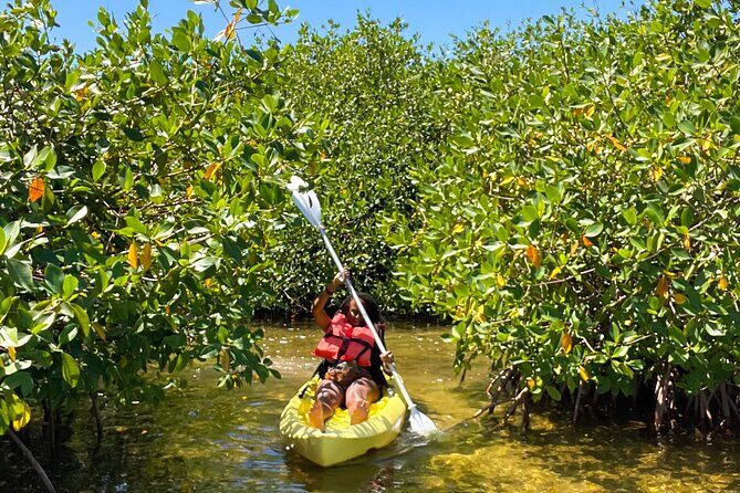 Full Day Clear Kayak Rental Grand Turk - Price and value: what $58 per person really includes