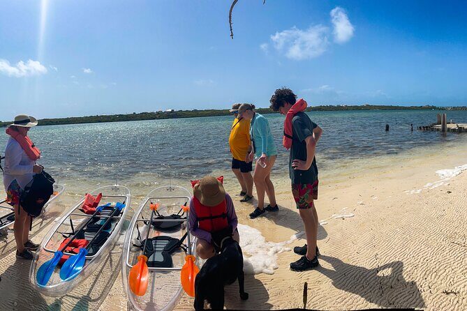 Full Day Clear Kayak Rental Grand Turk - The vibe on the water: safety, reassurance, and first-time confidence