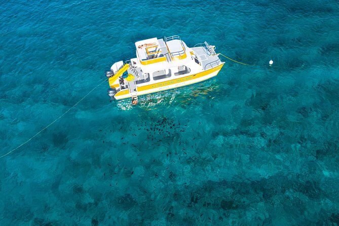Full Day Private Boat Charter at Grace Bay, Providenciales - Snorkeling on the barrier reef: gear is included