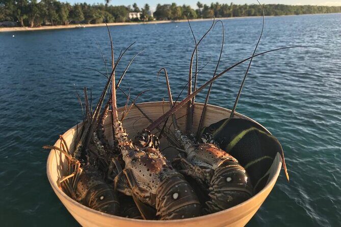 Full-Day Private Catamaran, Turks and Caicos Cruise - Little Water Cay (Iguana Island): Spotting the Real Island Wildlife