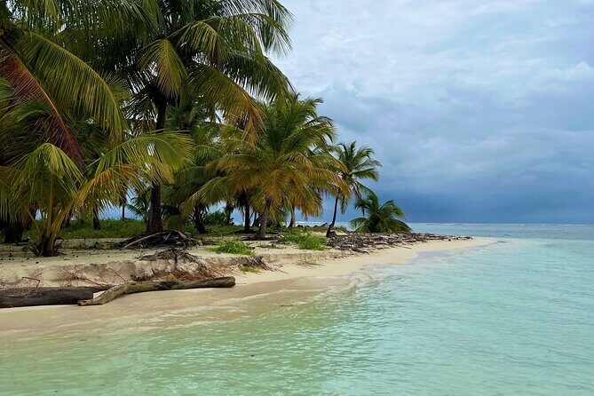 Full-Day Private Catamaran, Turks and Caicos Cruise - Leeward Beach Snorkeling: Where the Reef Structure Helps