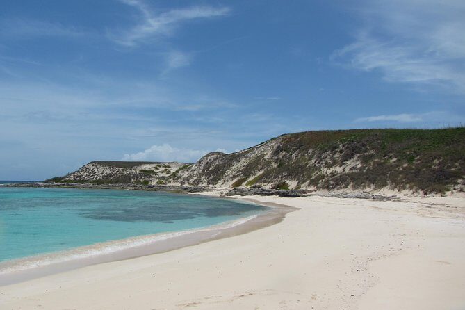 Gibbs Cay Stingray and Conch Dive Adventure - Key highlights to know before you go