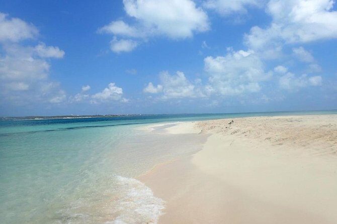 Gibbs Cay Stingray and Conch Dive Adventure - Captain conch retrieval: A hands-on look at where your ceviche starts