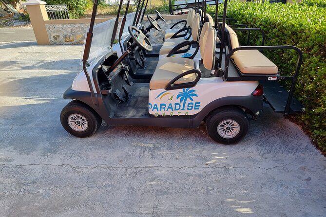 Golf Cart Rental in Grand Turk (4-seater) - Key things I’d clock before booking