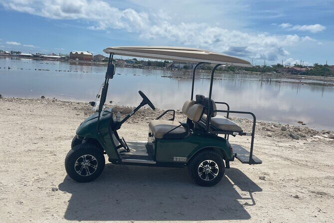 Grand Turk Golf Cart Rentals (CACTUS CARTS) - The easy case for a golf cart on Grand Turk