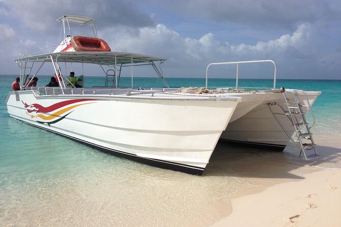 Grand Turk: Whale Watching - How the marine biologist makes the whale watching click