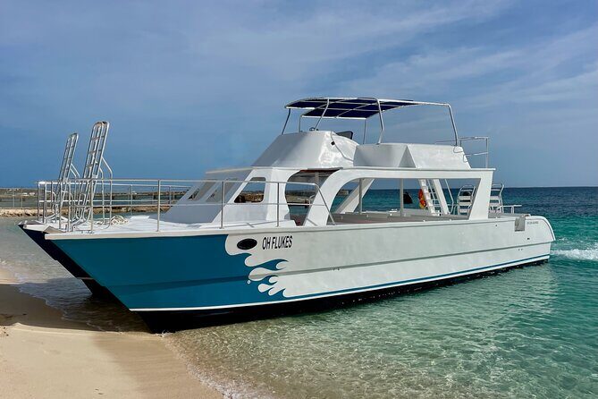 Grand Turk: Whale Watching - Price: what $200 buys you on Grand Turk