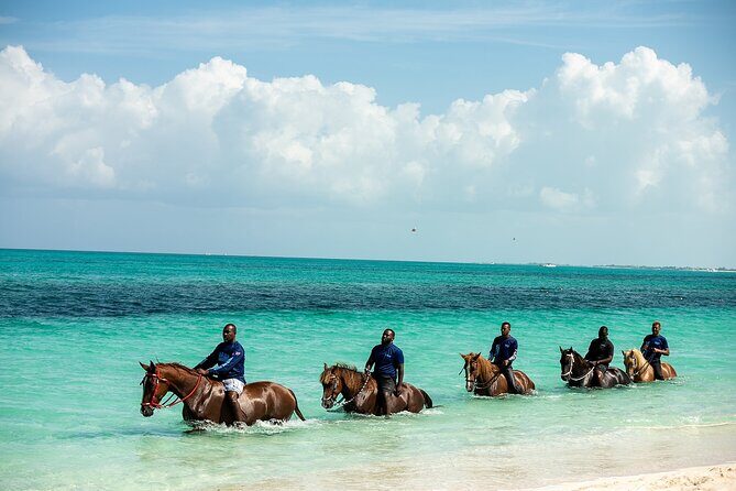 Group Beach and Ocean Horseback Adventure in Providenciales - Safety and Comfort: What the Guides Actually Do