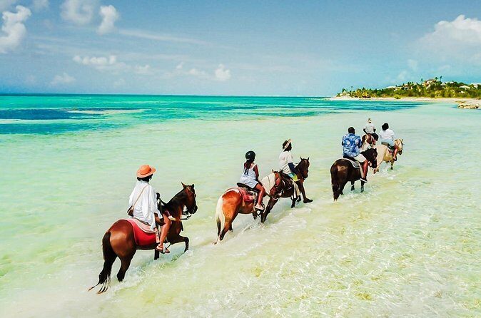 Group Beach and Ocean Horseback Adventure in Providenciales - Meeting Point and Getting There Without Headaches