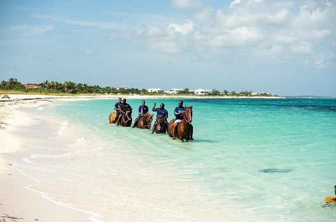 Group Beach and Ocean Horseback Adventure in Providenciales - Price and Value: What $254 Buys You