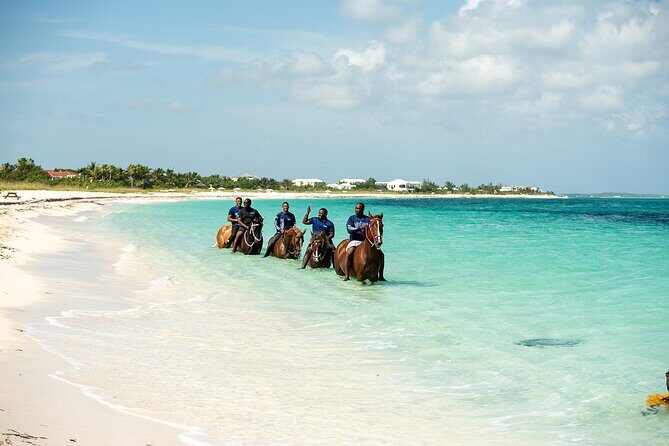Group Beach and Ocean Horseback Adventure in Providenciales - What to Bring: Towels, Sunscreen, and Sense