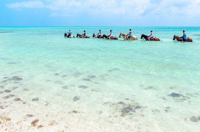 Group Beach and Ocean Horseback Adventure in Providenciales - The Conch Shell Keepsake (and Why It’s a Nice Touch)