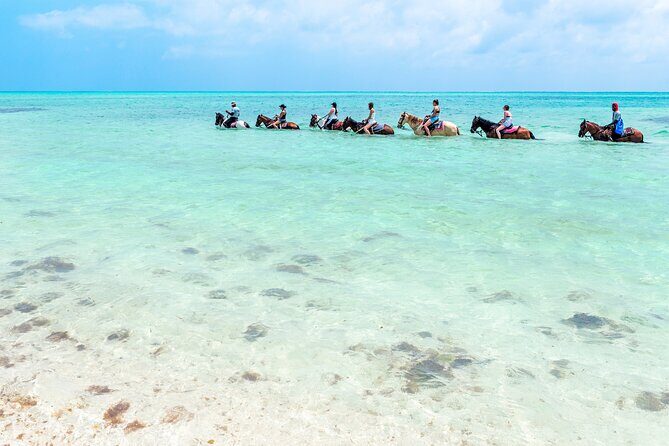 Group Beach and Ocean Horseback Adventure in Providenciales - Your 1-Hour Flow: From Shore to Surf