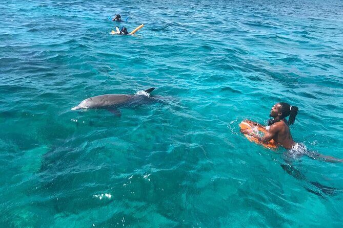 Group Reef, Beach and Sandbar Tour from Providenciales - Pine Cay sandbar at Sand Dollar Cove: shallow-water relaxing that beats the crowds
