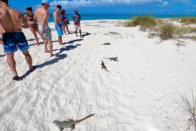 Group Reef, Beach and Sandbar Tour from Providenciales - Lunch onboard + open bar: what you get, and how the timing works