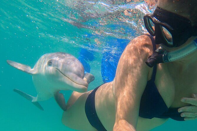 Group Reef, Beach and Sandbar Tour from Providenciales - Price and value: why $145.84 can feel fair in Turks and Caicos