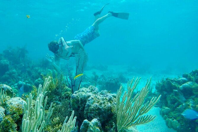 Group Reef, Beach and Sandbar Tour from Providenciales - Weather and sea conditions: the only thing you can’t control