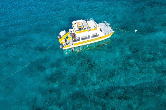 Half Day Private Boat Charter at Grace Bay, Providenciales - Lunch on the water: island-style BBQ with open bar energy