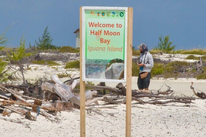 Half Day Private Boat Tour in Caicos Island - What’s Included: Lunch, Drinks, and Snacks That Keep the Day Moving