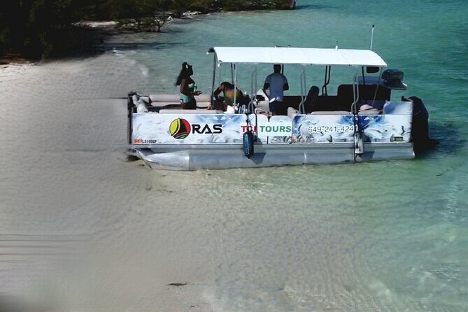 Half Day Private Charters in Iguana Island for 8pax - Your 4-Hour Route: Reef, Sand Dollars, and Iguana Island