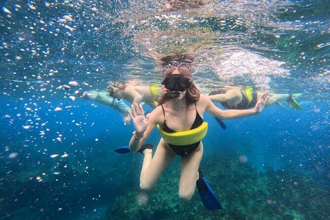 Half Day Snorkel from Providenciales with Visit to Half Moon Bay - Half Moon Bay and Little Water Cay (Iguana Island): sandbar walks and quick wildlife spotting