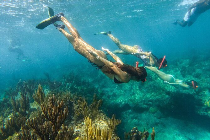 Half Day Snorkel from Providenciales with Visit to Half Moon Bay - Price and value: is $140 worth it?