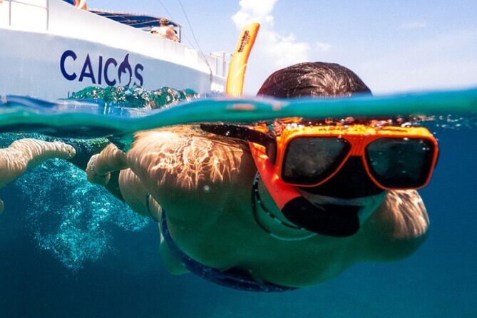 Half Day Snorkel from Providenciales with Visit to Half Moon Bay - The Leeward Reef snorkel: what you’ll see and how to stay comfortable