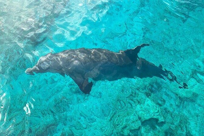 Half Day Snorkeling, Sightseeing & Island Hopping Private Charter - Stop 3: Cruise along Grace Bay Beach without the chaos