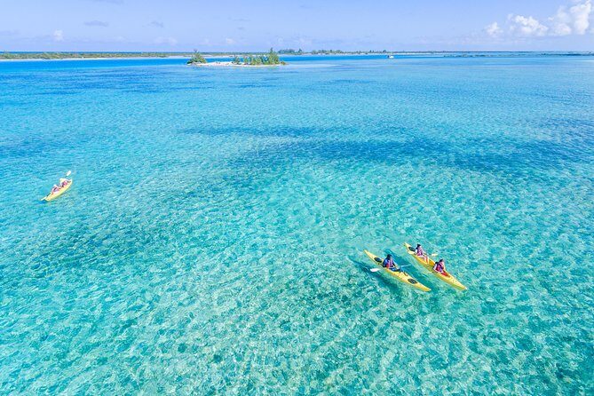 Kayak Eco Tour - Key Things That Make This Kayak Eco Tour Worth Your Time