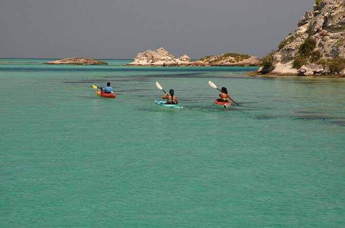 Kayak Eco Tour - Pickup, Meeting Point, and Practical Logistics That Actually Matter